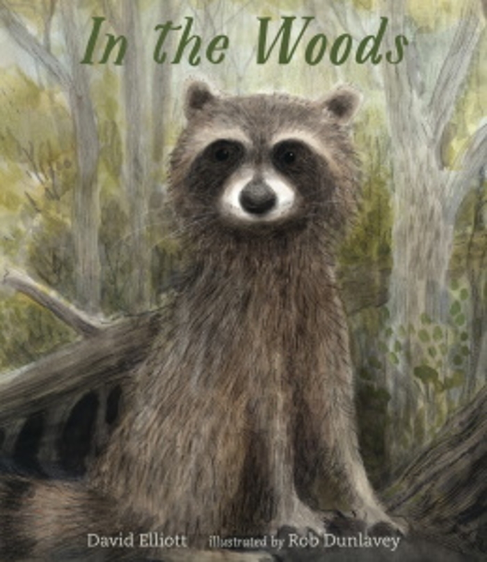 Review of In the Woods