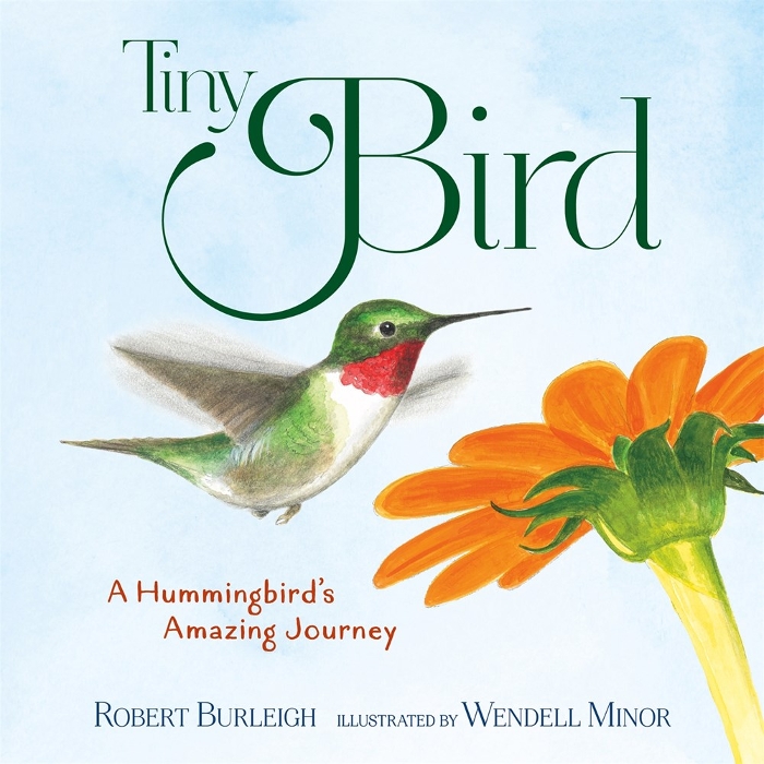 Review of Tiny Bird: A Hummingbird's Amazing Journey