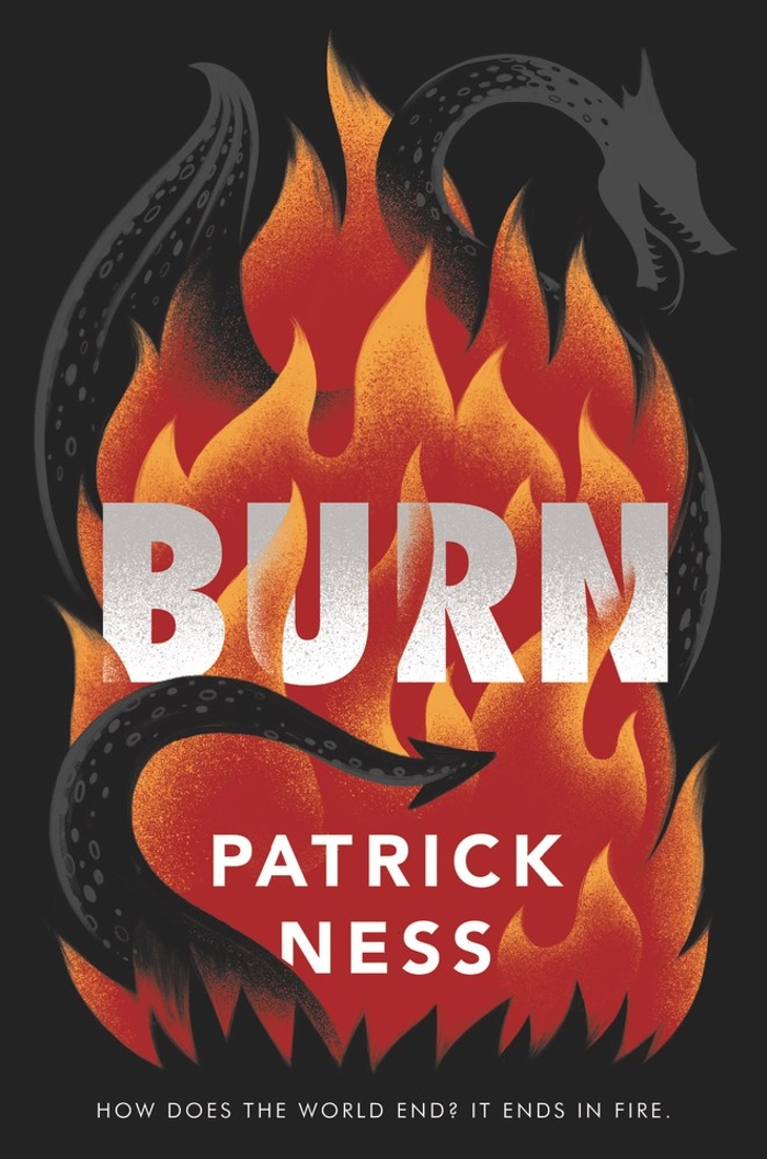 The Horn Book Review of Burn