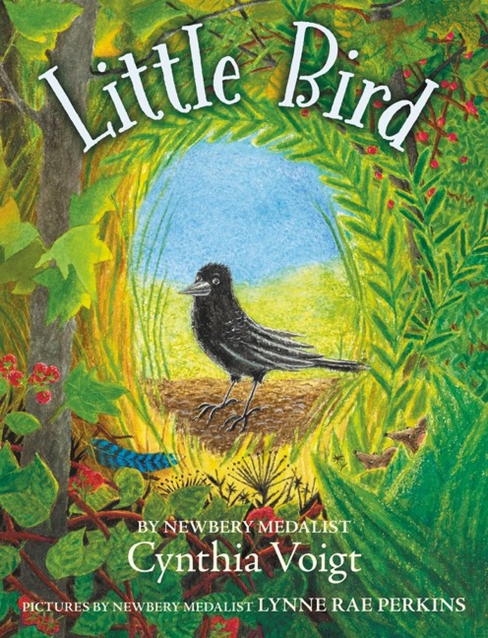 Review of Little Bird