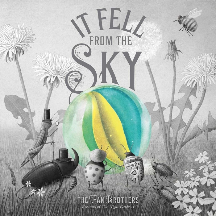 Review of It Fell from the Sky