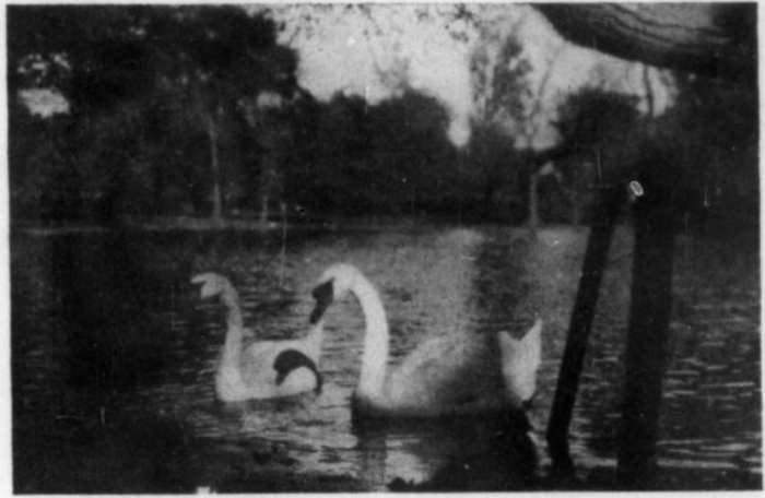 Alice-Heidi’s Secrets (November 1925)